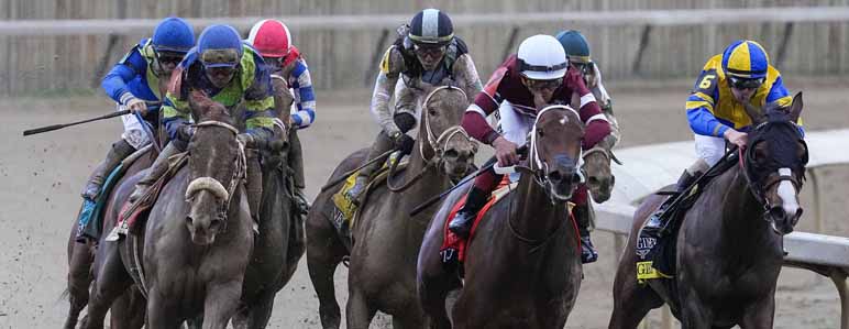 Free Kentucky Derby Horse Racing Picks For Today 5-7-22